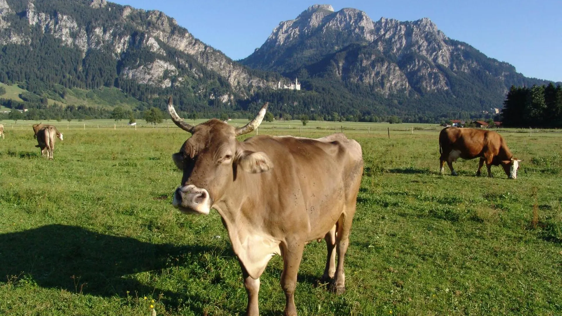 Appartamento Hintere Schoene Rieden